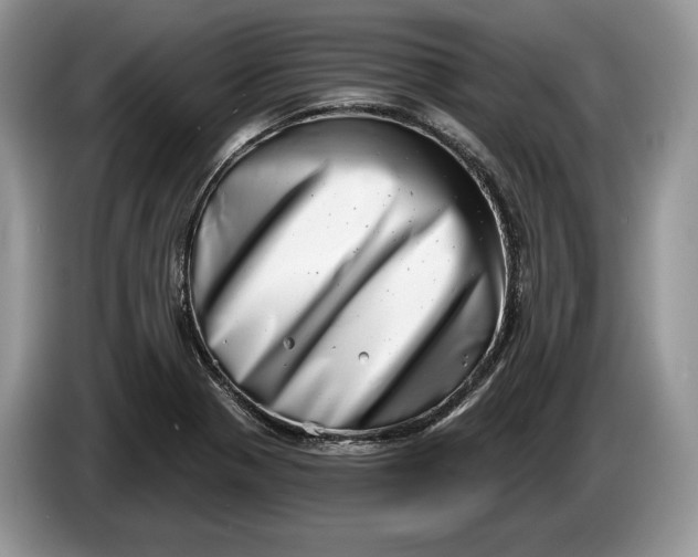 X0000086271321200704122022