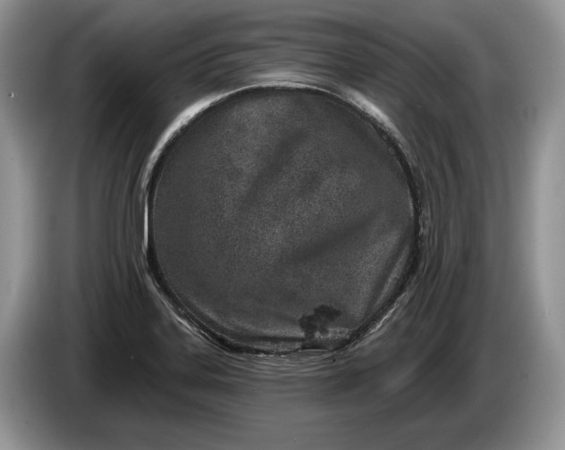 X0000086271323200704122022