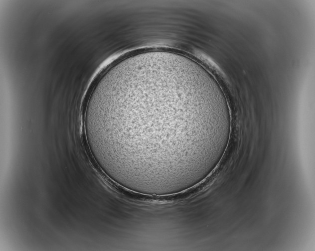 X0000086271324200704122022