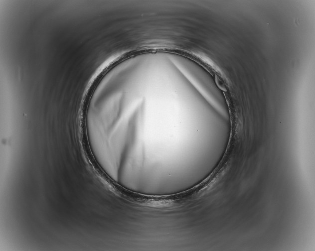 X0000086271325200704122022