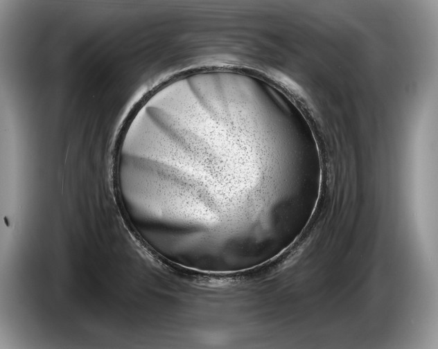 X0000086271326200704122022