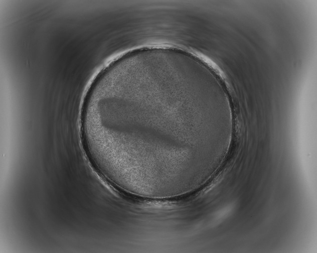 X0000086271327200704122022