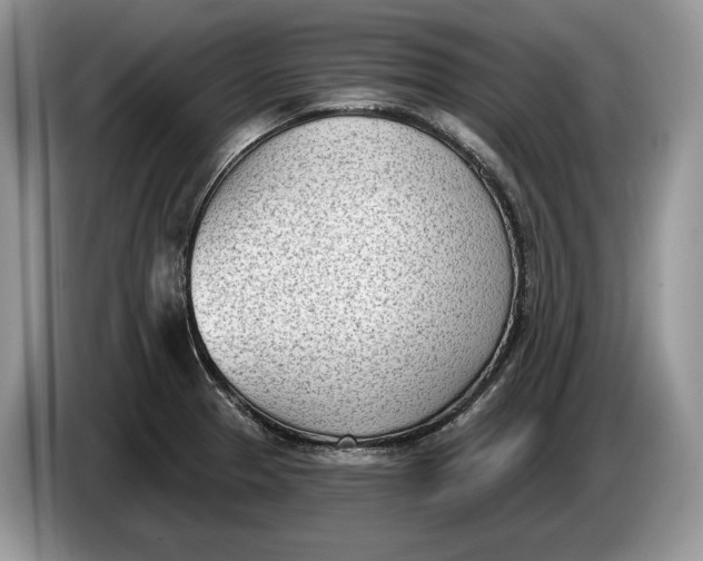 X0000086271329200704122022