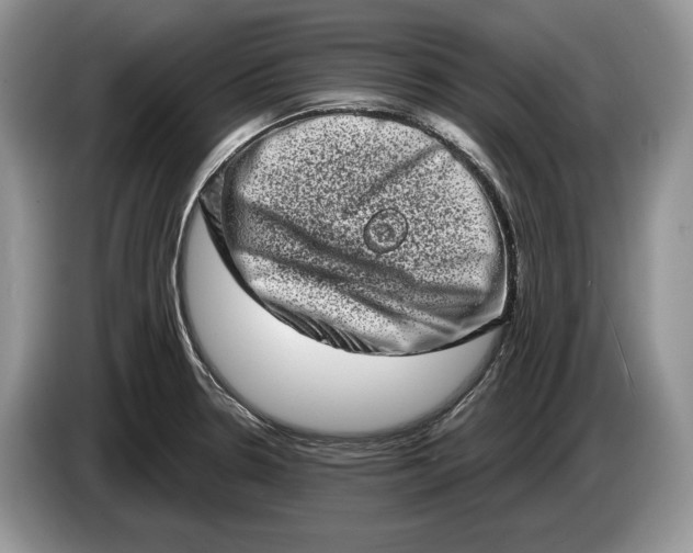 X0000086271330200704122022