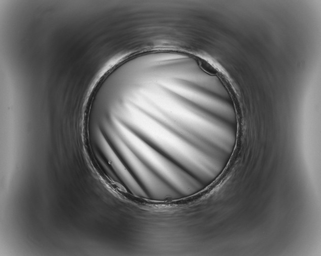 X0000086271333200704122022