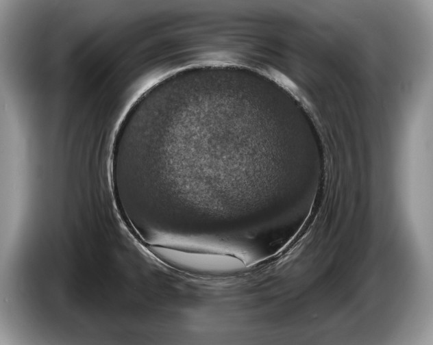 X0000086271334200704122022