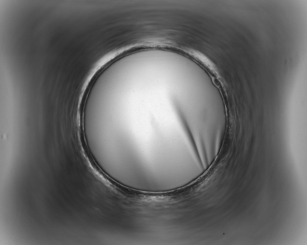 X0000086271335200704122022