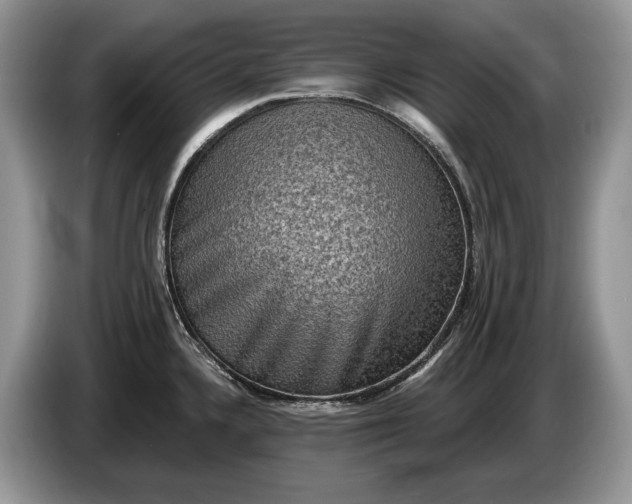 X0000086271336200704122022