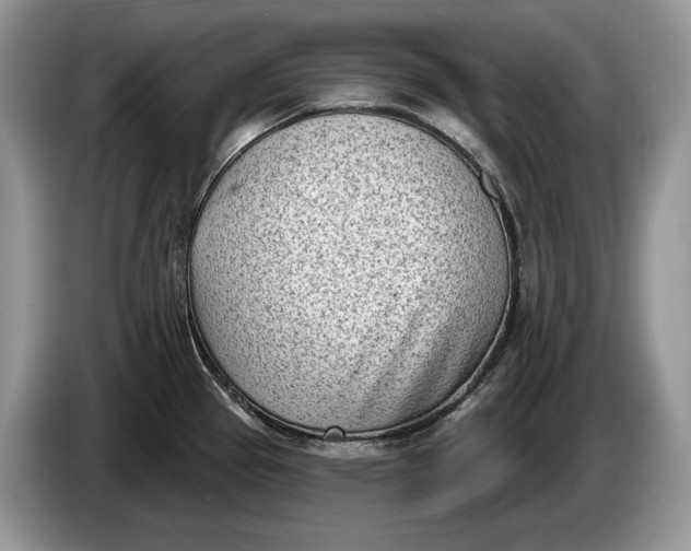 X0000086271337200704122022