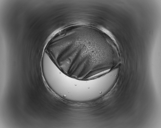 X0000086271338200704122022