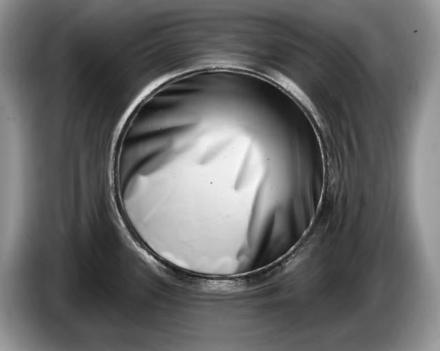 X0000086271339200704122022