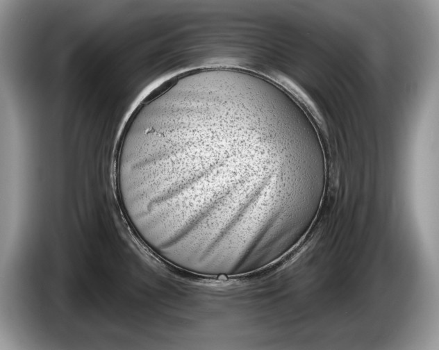 X0000086271340200704122022