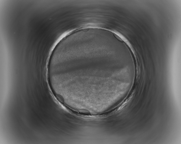 X0000086271341200704122022