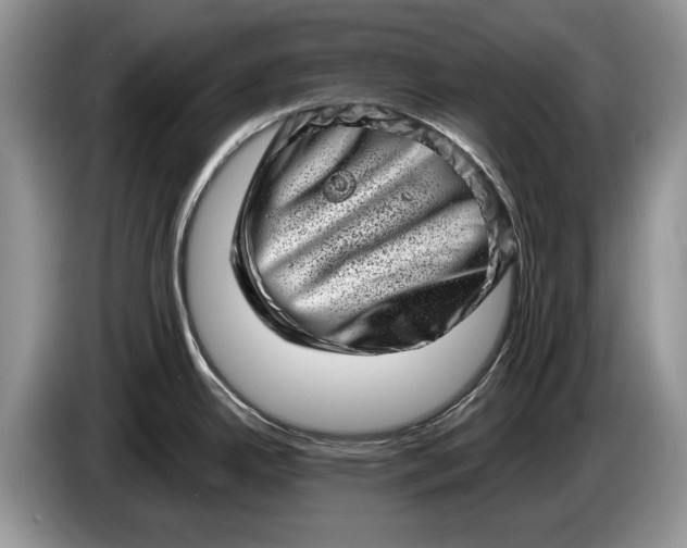 X0000086271342200704122022