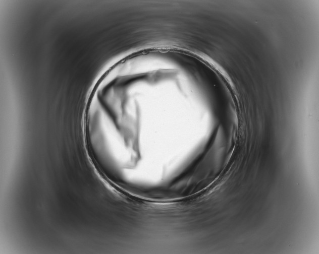 X0000086271343200704122022