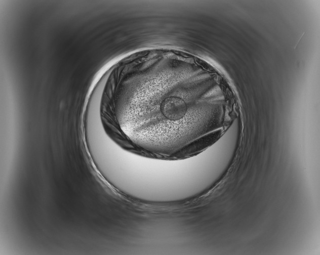 X0000086271344200704122022