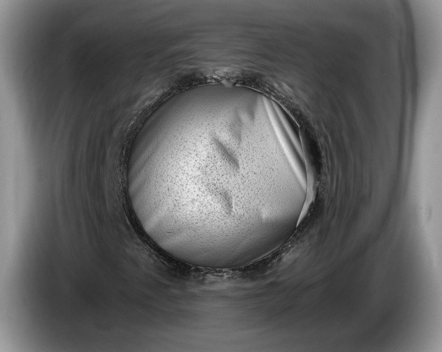 X0000086271345200704122021