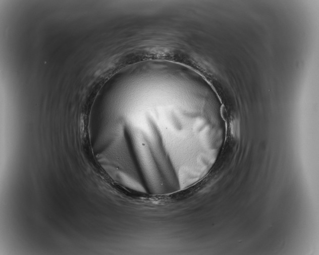 X0000086271347200704122021