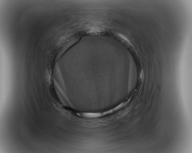 X0000086271348200704122021