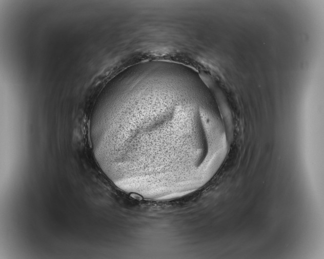 X0000086271349200704122021