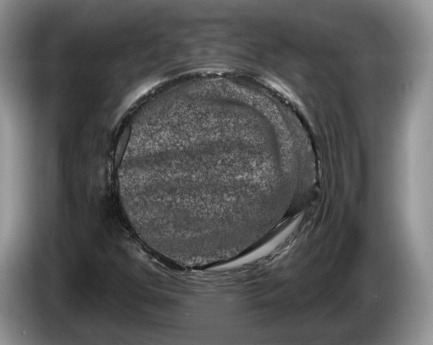 X0000086271352200704122021