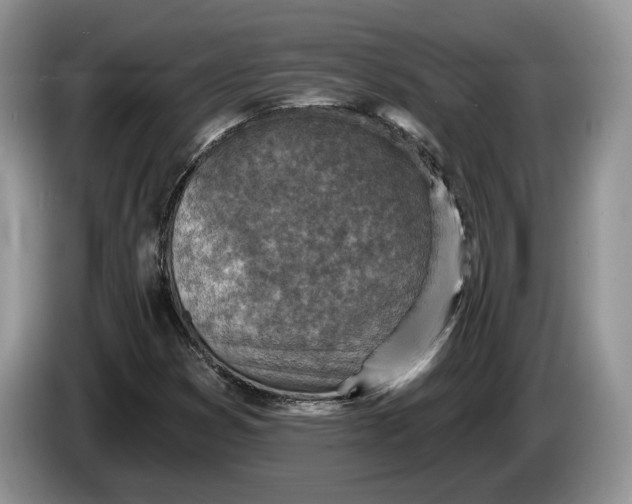 X0000086271353200704122021