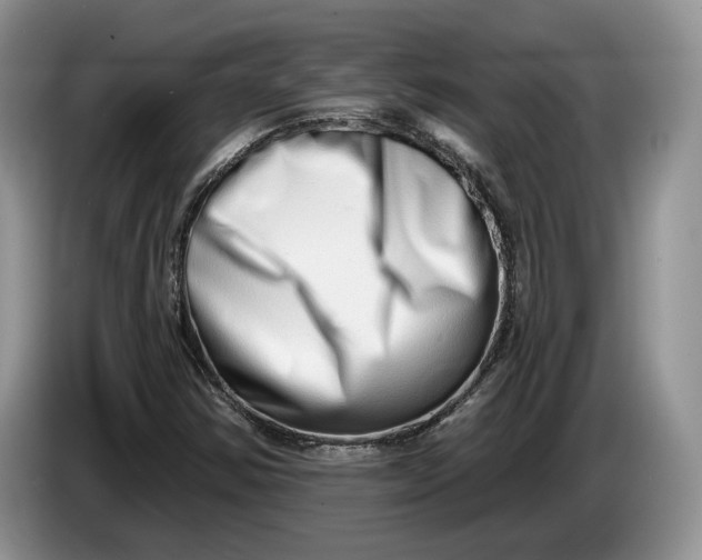 X0000086271354200704122021