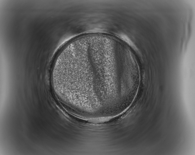 X0000086271356200704122021