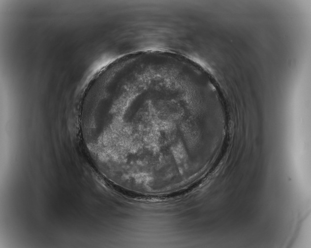 X0000086271359200704122021