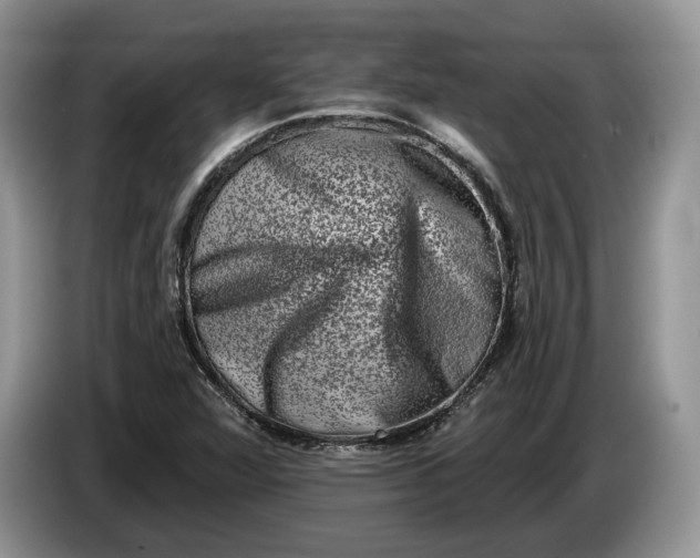 X0000086271360200704122021