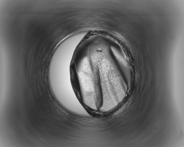 X0000086271361200704122021