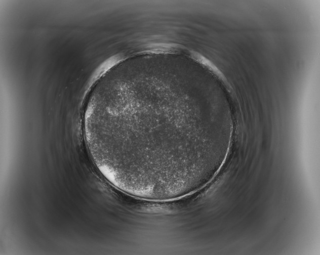 X0000086271362200704122021