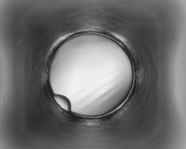 X0000086271363200704122021