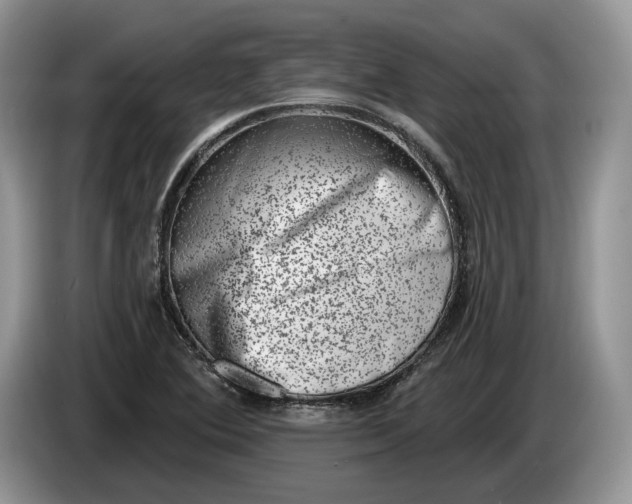 X0000086271364200704122021