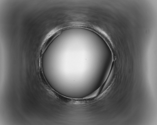 X0000086271365200704122021