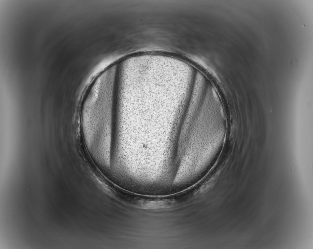 X0000086271367200704122021