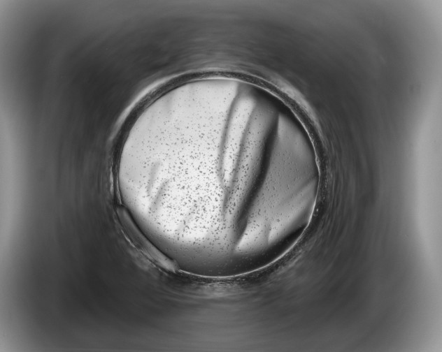 X0000086271368200704122021