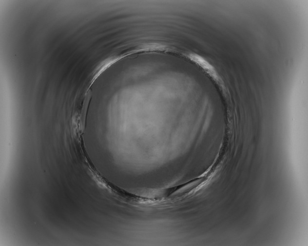 X0000086271369200704122021