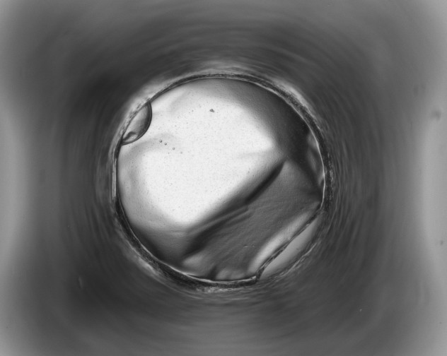 X0000086271371200704122021