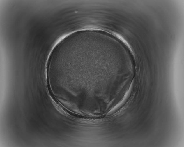 X0000086271372200704122021