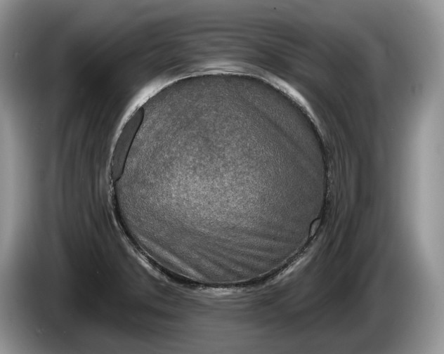 X0000086271373200704122021