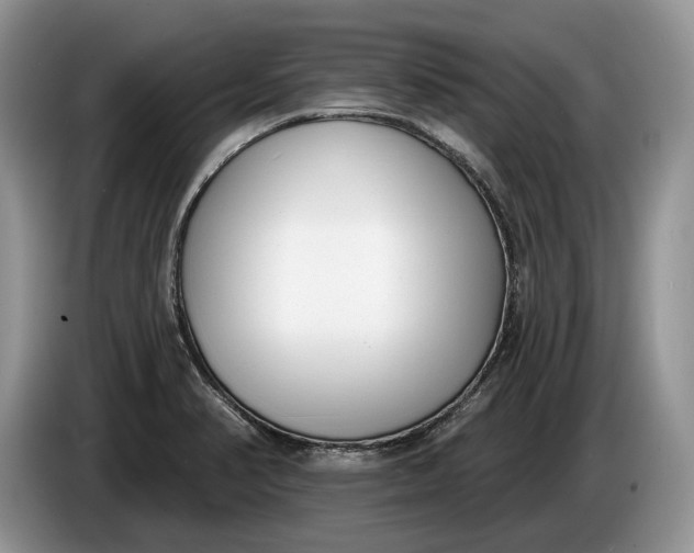 X0000086271374200704122021