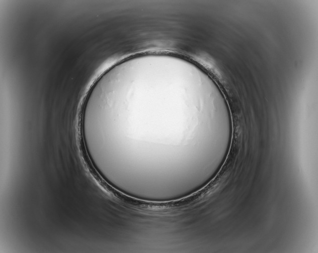 X0000086271375200704122021