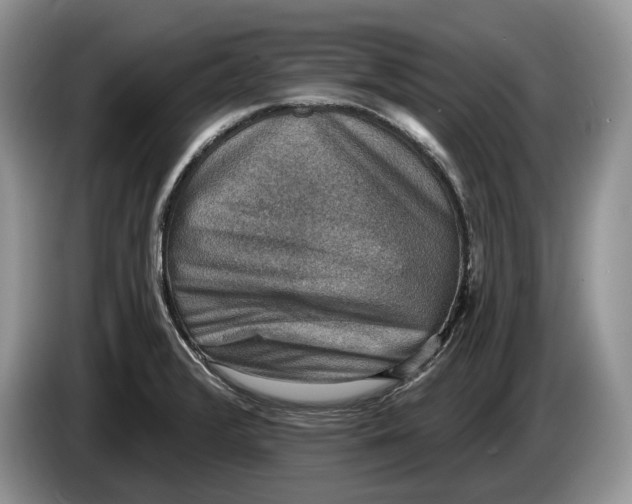 X0000086271376200704122021