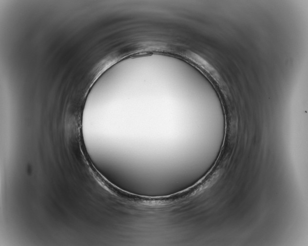 X0000086271377200704122021