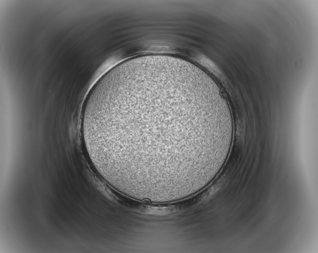 X0000086271378200704122021