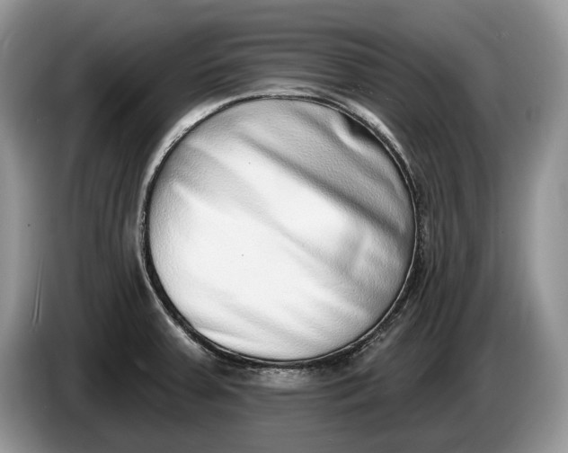 X0000086271379200704122021