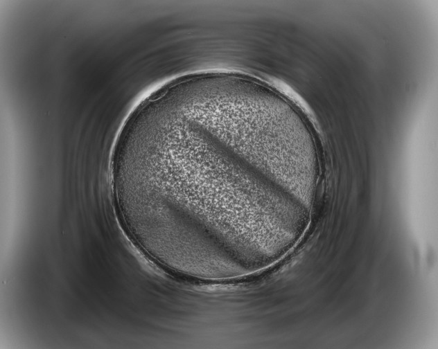 X0000086271380200704122021