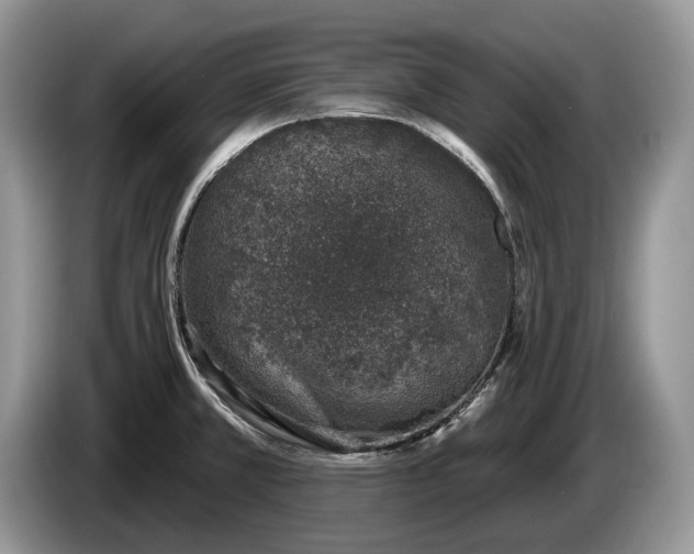 X0000086271381200704122021