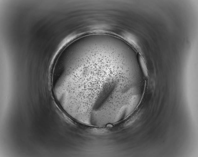 X0000086271384200704122021